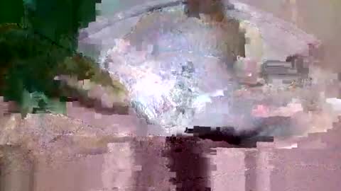 buffsurgeon1 online show from 09-08-25, 05:34