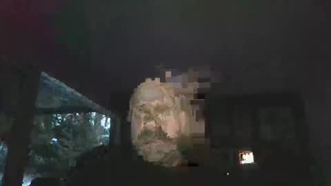 bulldog302w online show from 02-02-26, 10:41