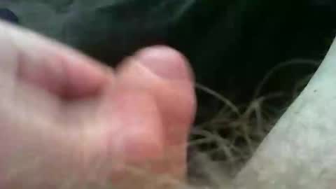 bullemoe online show from 11-02-25, 11:23