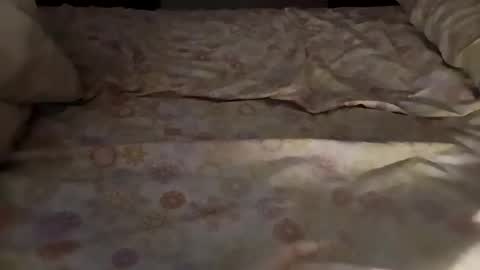 bullspain27266272 online show from 03-03-25, 04:47