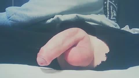 Dutch cock online show from 02-23-25, 03:40