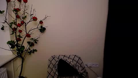 Ariel online show from 03-25-26, 09:10