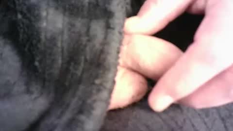 Hamish online show from 03-16-26, 07:29