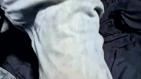 Buster18Hymen online show from 10-21-25, 07:36