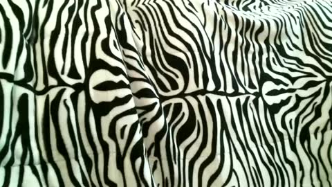 Snapshot of bustinfree chatting on 09-15-25, 03:34 bustinfree online show from 09-15-25, 03:34