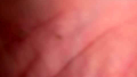 busuzikit1 online show from 06-09-26, 06:41