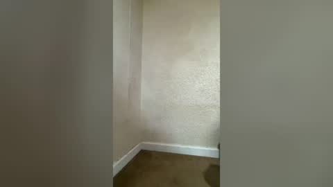 buynowlive online show from 07-29-26, 11:03