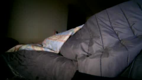 bzxxbzh online show from 04-15-26, 07:58