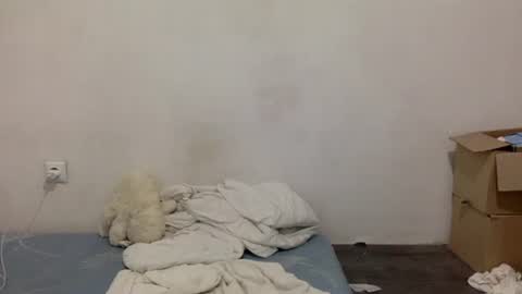 Lamb online show from 07-14-26, 05:51