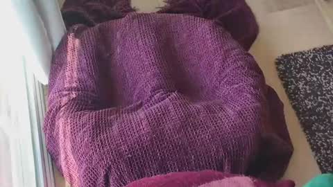 Caked Up online show from 03-24-26, 12:26