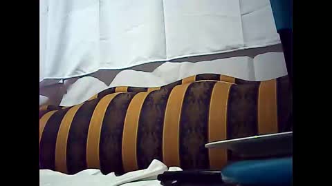 californiacam2 online show from 12-15-24, 08:52