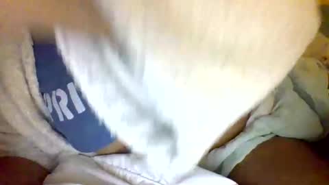 Snapshot of caligirl310r chatting on 01-05-25, 05:41 Caligurl   Queen    Head Fluffer In Charge  Goddess of Cocktease   Mistress of Holes online show from 01-05-25, 05:41