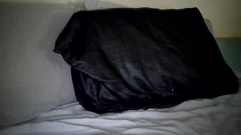 Snapshot of caligirl310r chatting on 01-27-25, 03:50 Caligurl   Queen    Head Fluffer In Charge  Goddess of Cocktease   Mistress of Holes online show from 01-27-25, 03:50