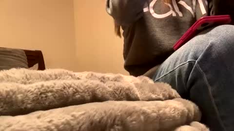 Snapshot of calishop1 chatting on 12-11-24, 01:58 calishop1 online show from 12-11-24, 01:58