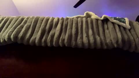 Snapshot of calishop1 chatting on 02-22-25, 03:34 calishop1 online show from 02-22-25, 03:34