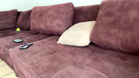 My name is Robert  Dont be shysay hi I love to chat. For requests or dirty talk please use tips  online show from 02-20-26, 06:19