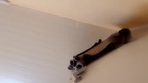 camilarubla online show from 12-01-25, 06:46