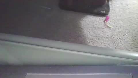 Snapshot of cammyman6900 chatting on 09-11-25, 04:01 cammyman6900 online show from 09-11-25, 04:01