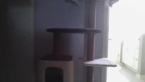 cammyman6900 online show from 11-21-25, 04:22