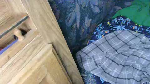 7777 online show from 02-13-25, 02:56