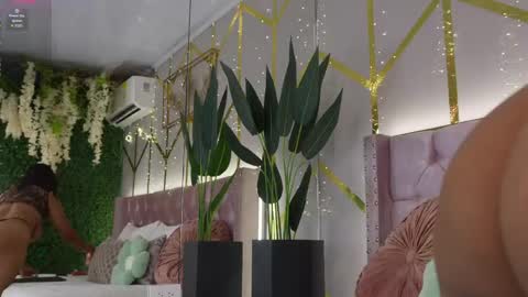 Snapshot of canela_montiel chatting on 06-03-26, 12:52 canela_montiel online show from 06-03-26, 12:52