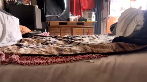 Snapshot of capacon69 chatting on 11-28-25, 08:11 Bbc always ready balls insta bmac capone online show from 11-28-25, 08:11