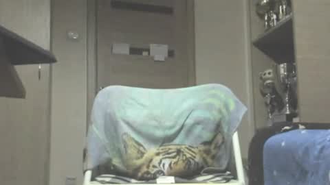 Laz online show from 07-11-26, 11:50