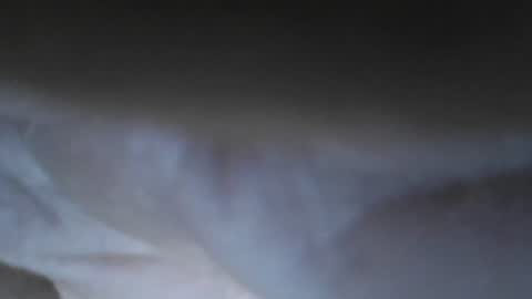 carl_mader online show from 07-31-26, 05:51