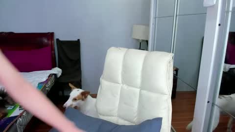 carla_bigcock09 online show from 02-20-25, 11:09