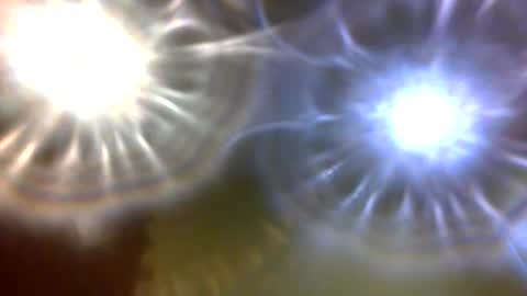 carlholmesjr20 online show from 12-04-25, 11:02