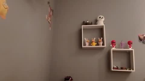 carlitito1 online show from 11-19-25, 07:52