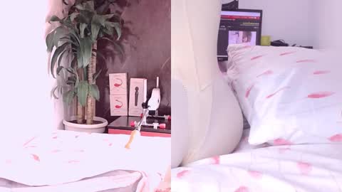 Carol online show from 03-18-26, 11:02