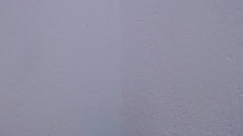 carolina_zabala_19 online show from 07-18-26, 05:06