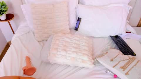   online show from 04-21-26, 01:42