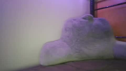 Casey Joe online show from 02-05-26, 03:00