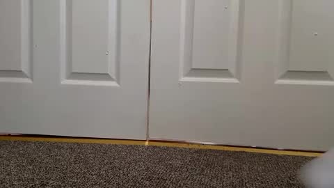 cash13bychanel online show from 12-11-24, 08:28