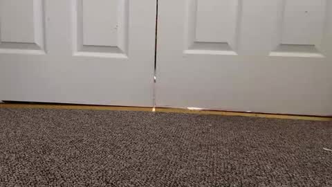 cash13bychanel online show from 01-22-25, 08:17