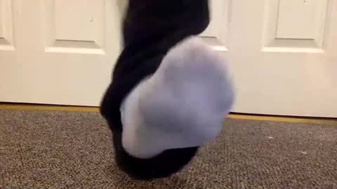 cash13bychanel online show from 01-26-25, 01:41