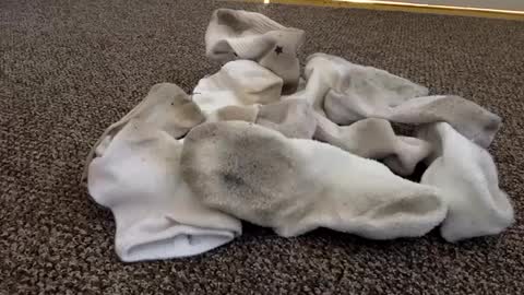 cash13bychanel online show from 02-04-25, 06:38