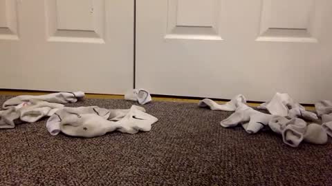 cash13bychanel online show from 02-13-25, 03:07