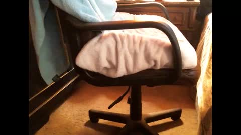 Snapshot of cashew72 chatting on 12-25-24, 08:28 Cashew online show from 12-25-24, 08:28