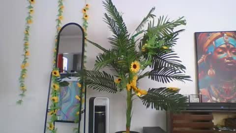 cashy_meal online show from 05-19-26, 07:26