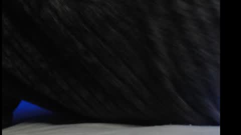 Snapshot of casidy1 chatting on 03-06-25, 06:59 casidy1 online show from 03-06-25, 06:59