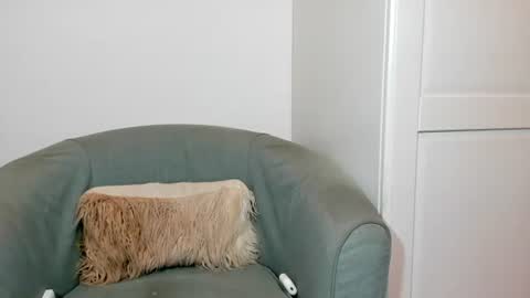 cassiecute - onlyfans account online show from 07-04-26, 06:03