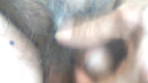 Snapshot of castells chatting on 06-14-26, 04:31 castells online show from 06-14-26, 04:31