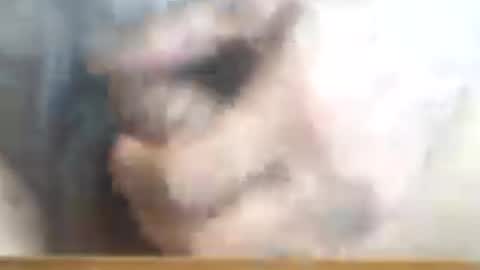 Snapshot of castells chatting on 06-16-26, 03:25 castells online show from 06-16-26, 03:25