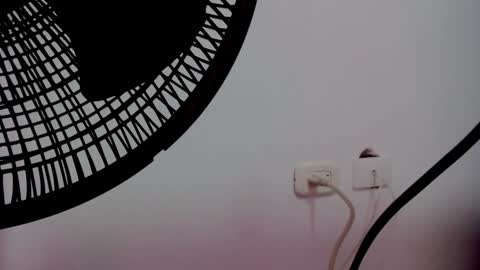 catalaia_stomm online show from 01-17-25, 01:24