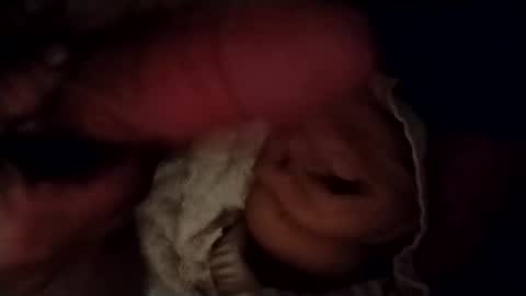 catdaddy179057 online show from 02-24-26, 11:30