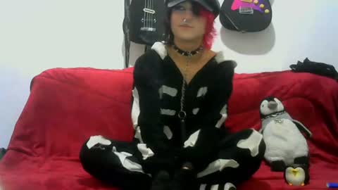 Cat online show from 06-27-26, 11:43