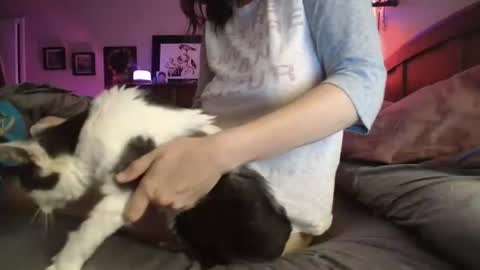 some call me djcatnips some call me CC but i love it when you call me miss catnips  online show from 07-10-26, 03:00